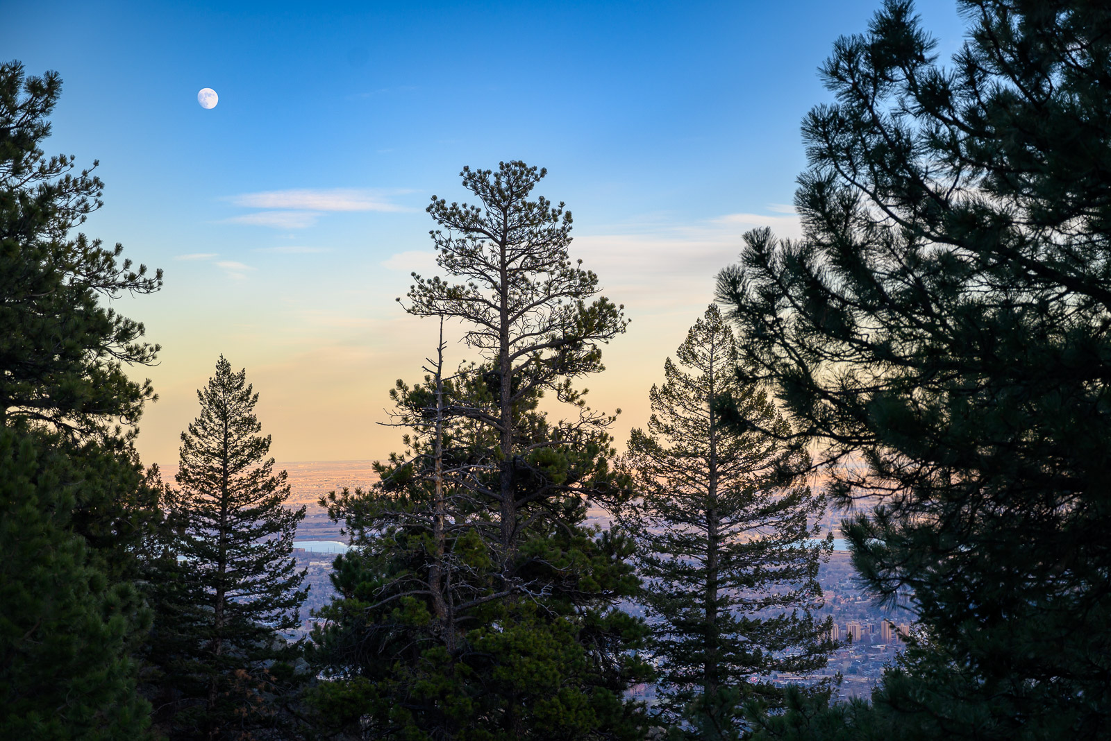 The city of Boulder glimpsed from behind the silhouettes of tall pine trees as the moon rises and the sun sets.
