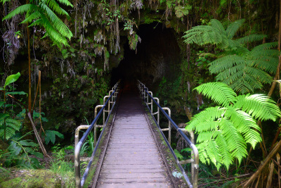 A narrow bridge recedes between ferns into the round opening of Thurston Lava Tube at Volcanoes National Park on the island of Hawaii.