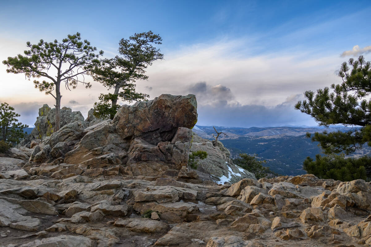 Twisted trees stand in a bed of stone overlooking a Rocky Mountain sunset at Lost Gulch Overlook near Flagstaff Mountain in Boulder, Colorado.