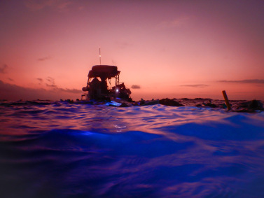 A vibrant sunset seen from Hoona Bay near Kona during a manta ray snorkeling excursion in Hawaii