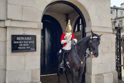 A horse opens his mouth in warning at the Royal Horse Guards office in London