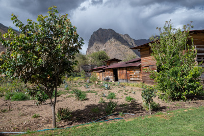 Organic farm at El Albergue