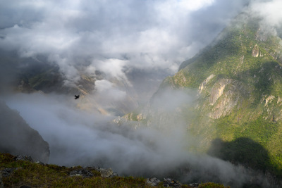 Black bird dives into a swirl of clouds above the sunlit valley at Machu Picchu.